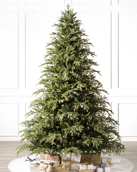 Brewer Spruce Tree-1
